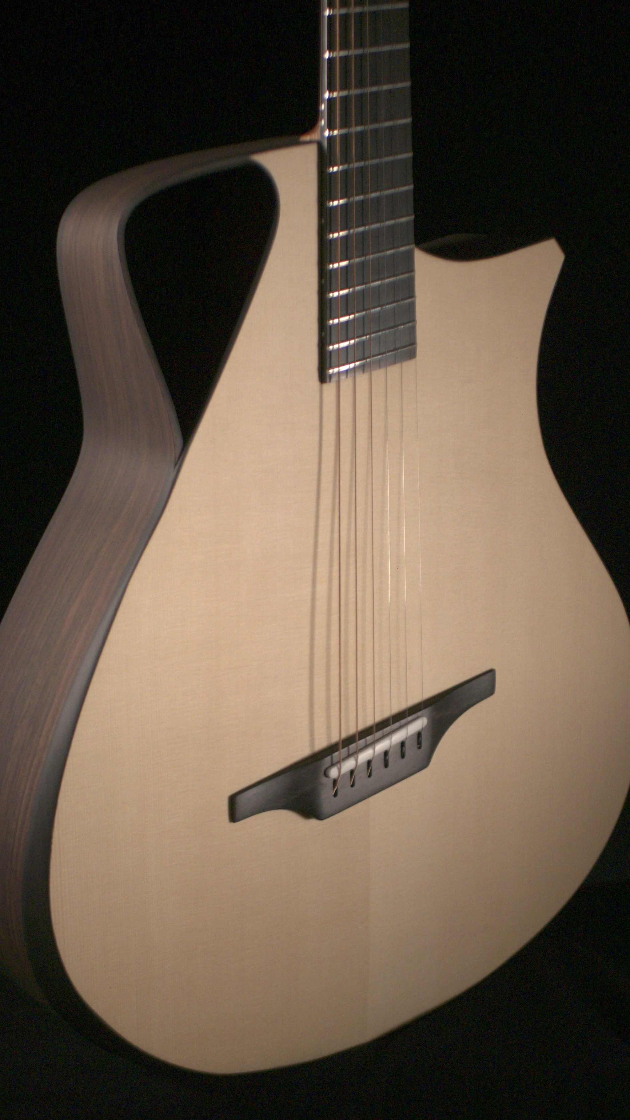 Rausch Guitars Sonnet Preview